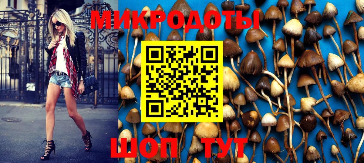 Псилоцибиновые грибы мицелий Унеча